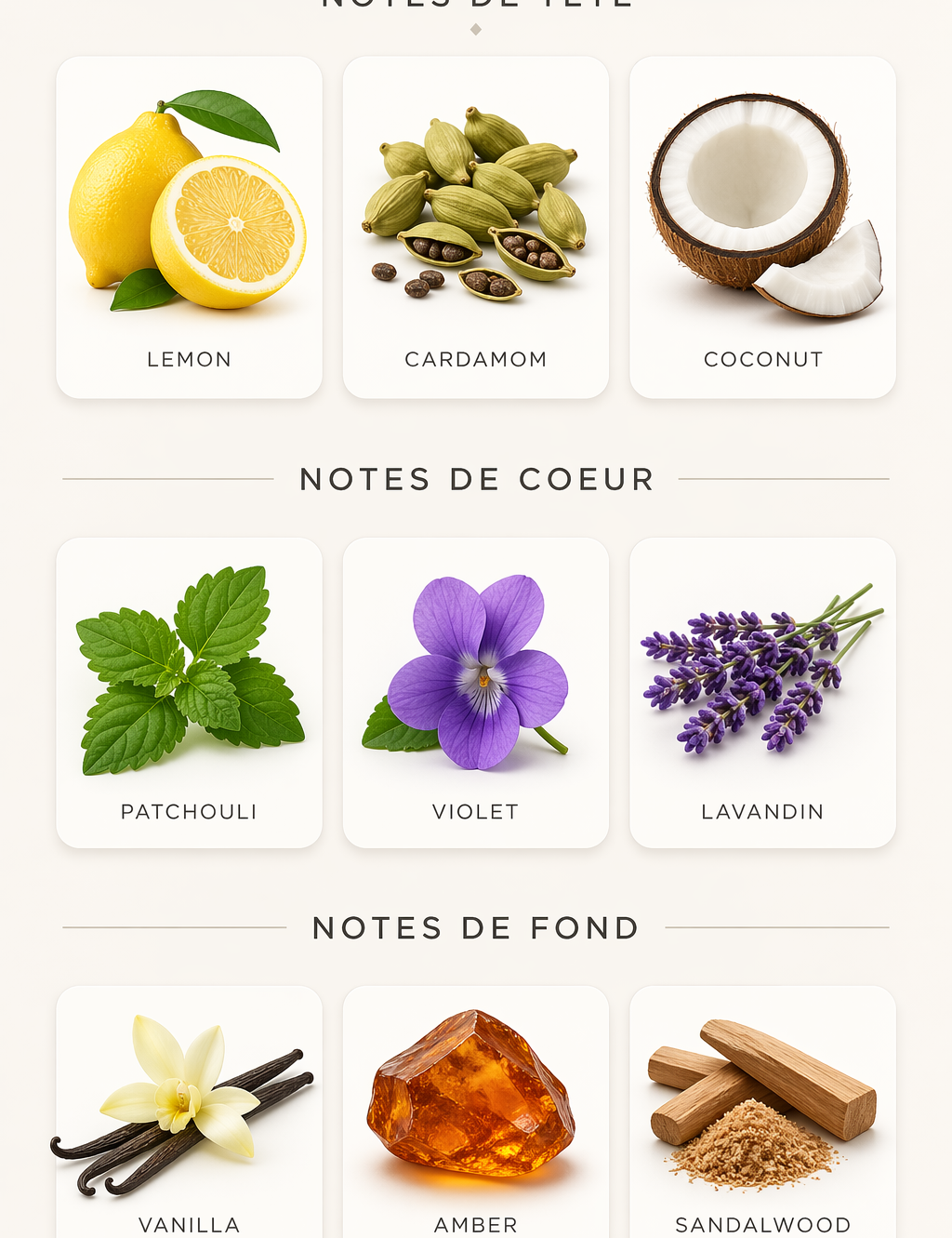 Enigmatic Jean Antoine, format 200ml
