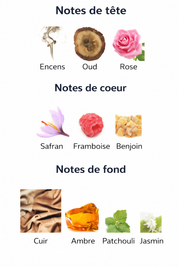 Ilham al Oud – Zimaya, flacon vue 2 – Youlham Perfumes Maroc