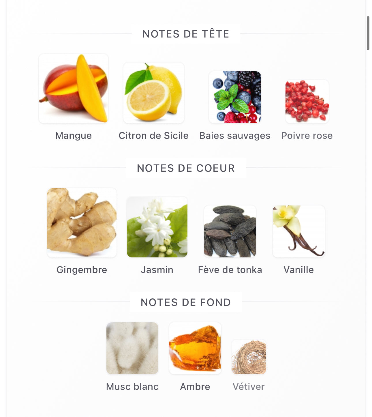 Rose de soleil Éclat Riiffs, flacon parfum – Youlham Perfumes Maroc
