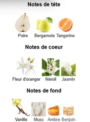 Pink Eclipse, flacon vue 2 – Youlham Perfumes Maroc