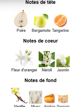 Pink Eclipse, flacon vue 2 – Youlham Perfumes Maroc